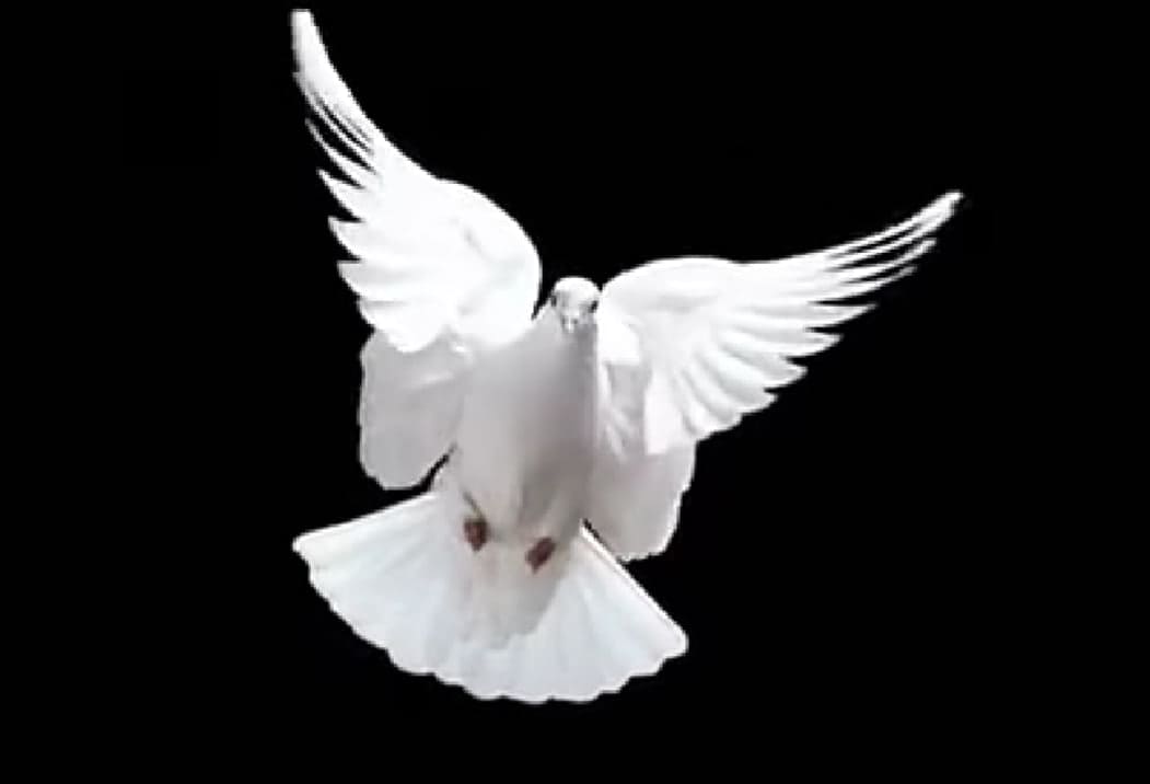 Организация похорон